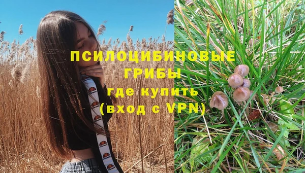стафф Ладушкин