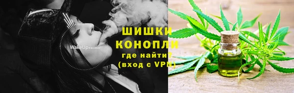 стафф Ладушкин