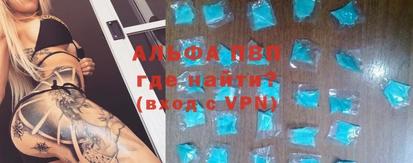 стафф Ладушкин