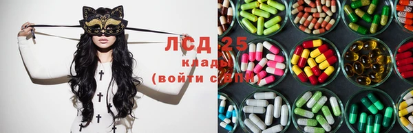 стафф Ладушкин