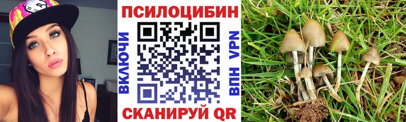 Галлюциногенные грибы мицелий  Суровикино 